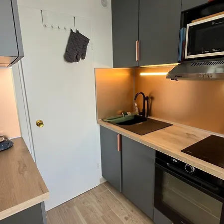 Saint-cyprien : Appt Front De Avec Piscine, Parking Et Clim - Fr-1-753-25 * Saint-Cyprien (Pyrenees-Orientales)